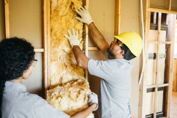 Best Home Insulation Services  in Heritage Lake, IL