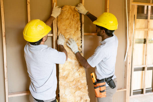 Best Professional Insulation Contractor  in Heritage Lake, IL